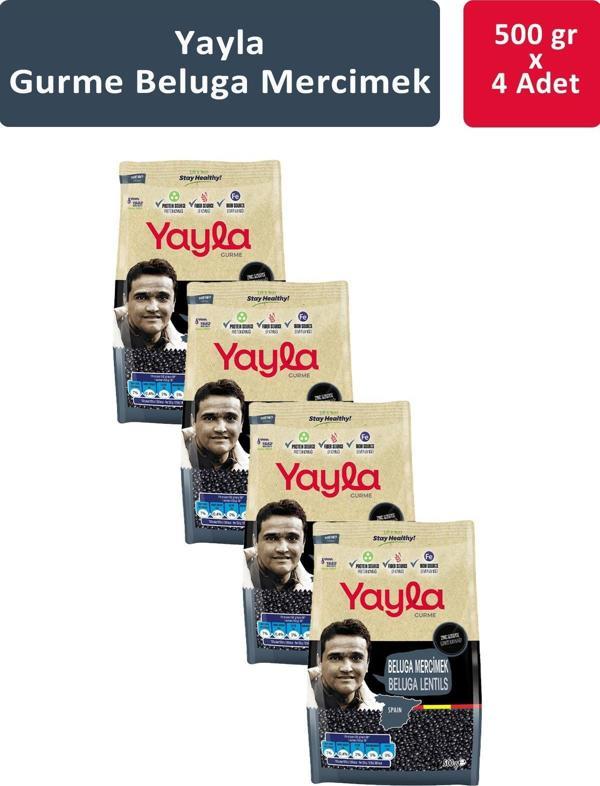 Yayla Gurme Beluga Mercimek 500 gr x 4 Adet - Image 1