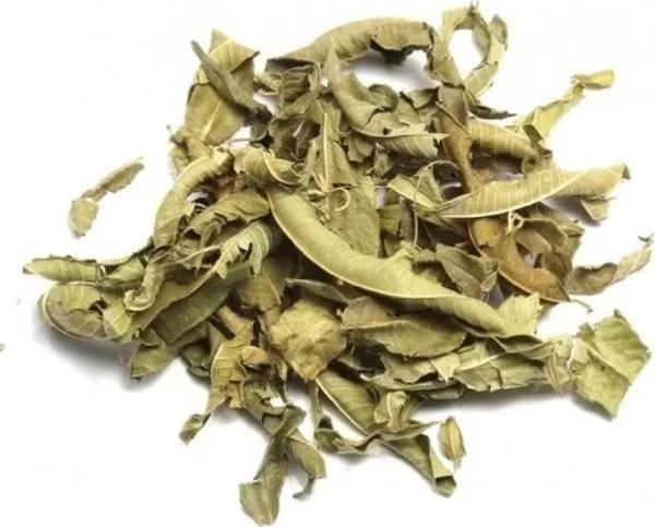 Lokman Aktar Melisa Limon Kokulu 20 Gr (Paket-Bitki) 1Adet - Image 1