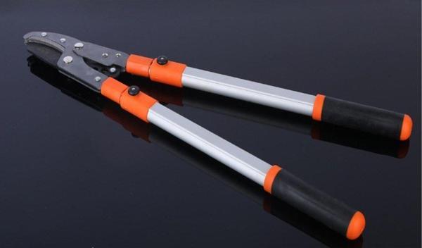 Bhd Tools Bhd Dal Budama Makası Uzatmalı Teleskopik Anvil Ağaç Budama Ve 1 Pkt Orange Ev Tipi Iğne - Image 1