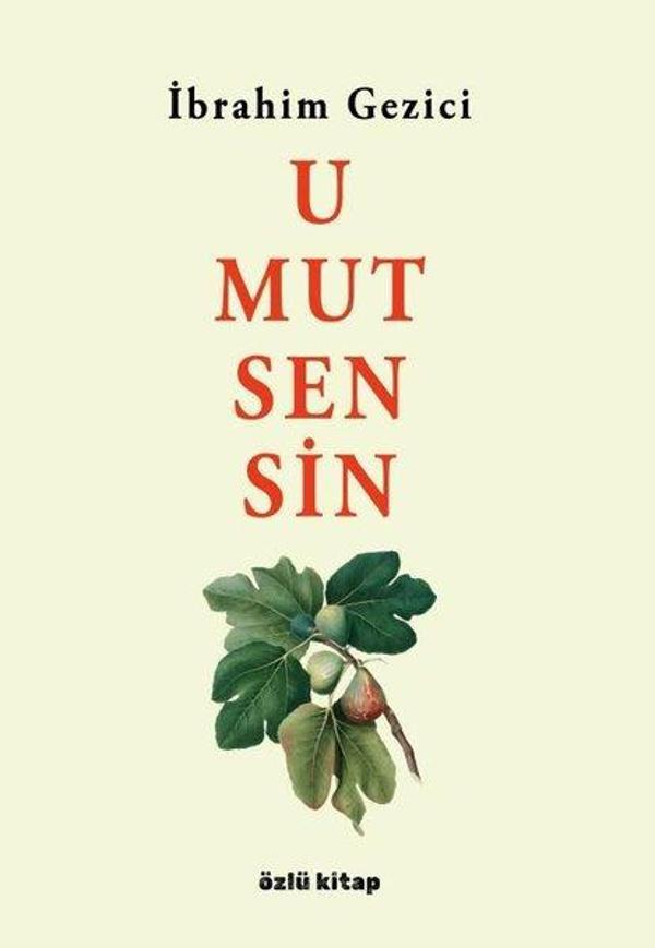 Umut Sensin - Özlü Kitap - Image 1