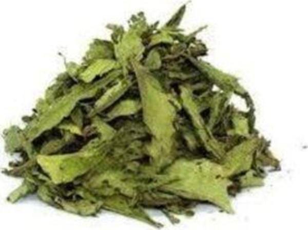 Dökme Bitkiler Stevia / Şeker Otu - 100 Gr - Image 1