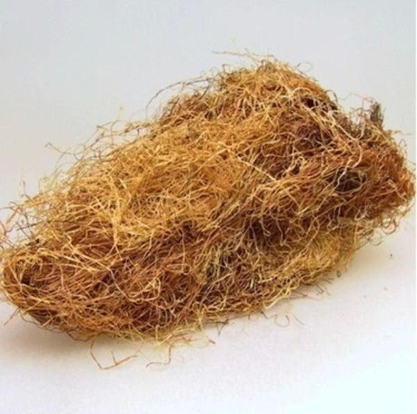 Dökme Bitkiler Mısır Püskülü -100 Gr - Image 1