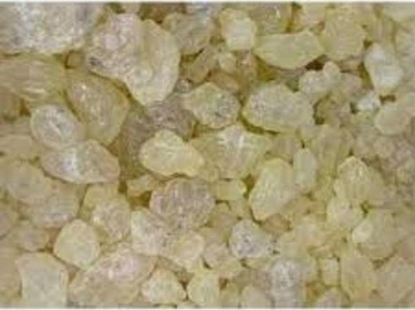 Dökme Ürünler Sandaloz Sakızı - 100 Gr - Image 1