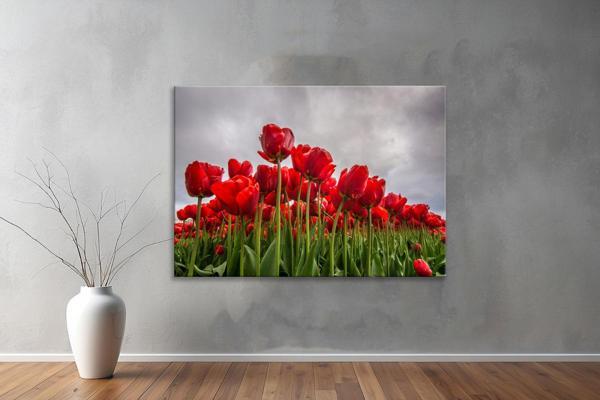 Dekoratif Çiçekler  YatayKanvas Tablo 47  - Image 1