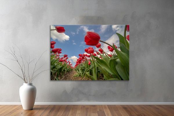 Dekoratif Çiçekler  YatayKanvas Tablo 49  - Image 1