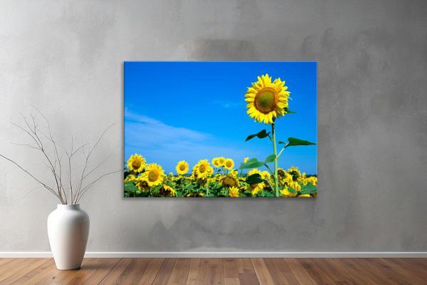 Dekoratif Çiçekler  YatayKanvas Tablo 50  - Image 1