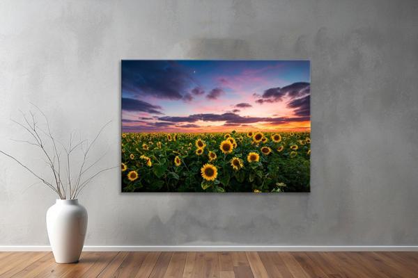 Dekoratif Çiçekler  YatayKanvas Tablo 52  - Image 1