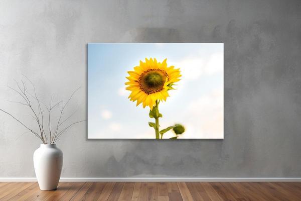 Dekoratif Çiçekler  YatayKanvas Tablo 54  - Image 1