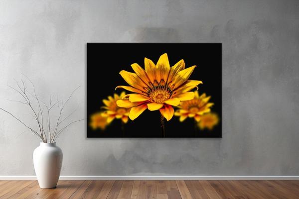 Dekoratif Çiçekler  YatayKanvas Tablo 61  - Image 1