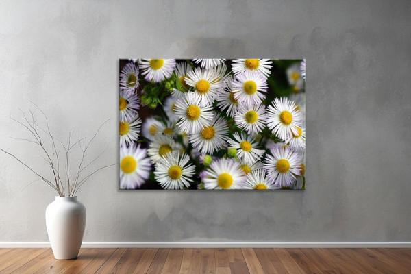 Dekoratif Çiçekler  YatayKanvas Tablo 18  - Image 1