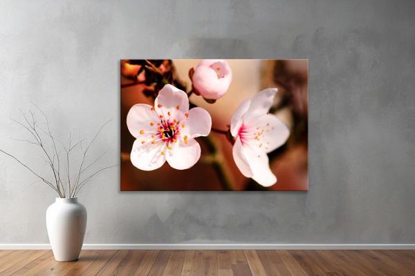Dekoratif Çiçekler  YatayKanvas Tablo 35  - Image 1