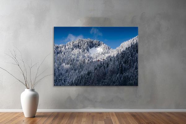 Dekoratif Doğa ( Nature ) Kanvas Tablo  169  - Image 1