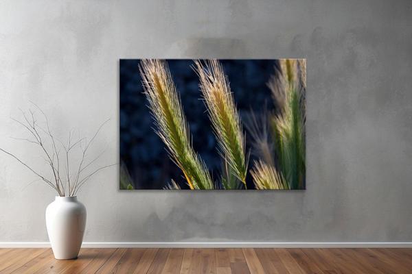 Dekoratif Doğa ( Nature ) Kanvas Tablo  224  - Image 1