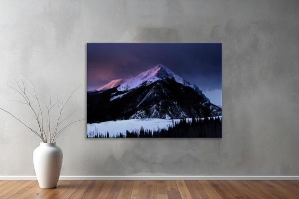 Dekoratif Doğa ( Nature ) Kanvas Tablo  438  - Image 1