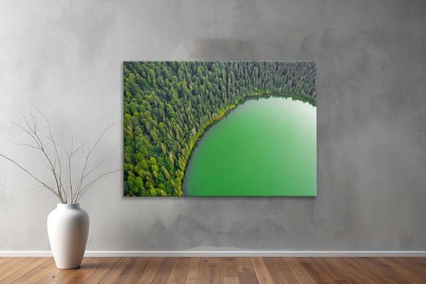 Dekoratif Doğa ( Nature ) Kanvas Tablo  490  - Image 1