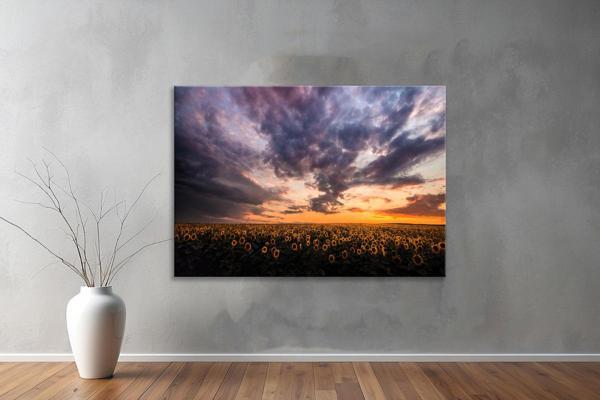 Dekoratif Doğa ( Nature ) Kanvas Tablo  576  - Image 1