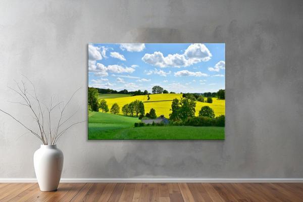 Dekoratif Doğa ( Nature ) Kanvas Tablo  58  - Image 1