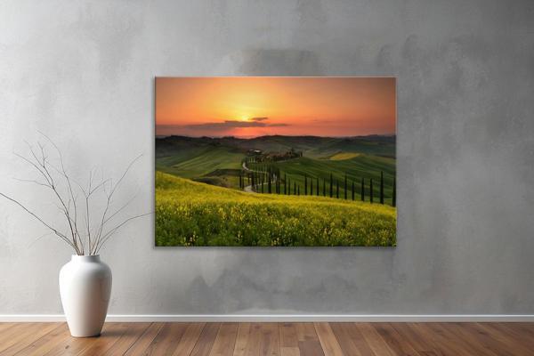 Dekoratif Doğa ( Nature ) Kanvas Tablo  625  - Image 1