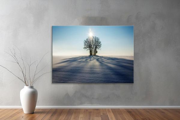 Dekoratif Doğa ( Nature ) Kanvas Tablo  644  - Image 1