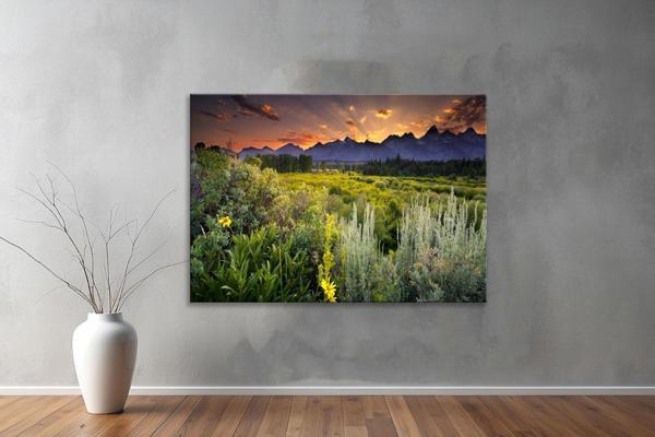 Dekoratif Doğa ( Nature ) Kanvas Tablo  649  - Image 1