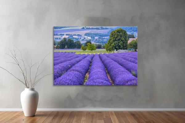 Dekoratif Doğa ( Nature ) Kanvas Tablo  658  - Image 1