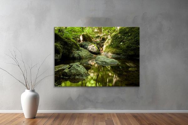 Dekoratif Doğa ( Nature ) Kanvas Tablo  659  - Image 1