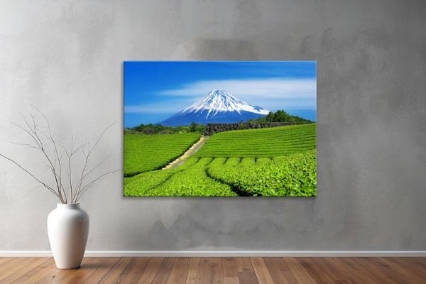 Dekoratif Doğa ( Nature ) Kanvas Tablo  66  - Image 1