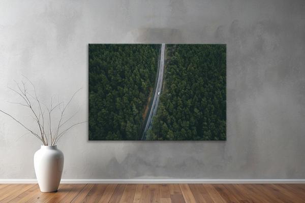 Dekoratif Doğa ( Nature ) Kanvas Tablo  664  - Image 1