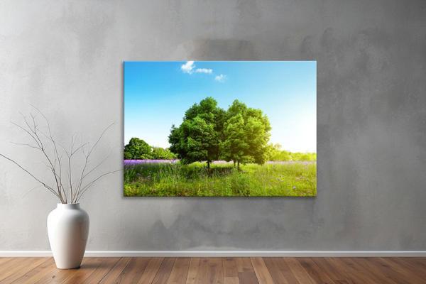 Dekoratif Doğa ( Nature ) Kanvas Tablo  72  - Image 1