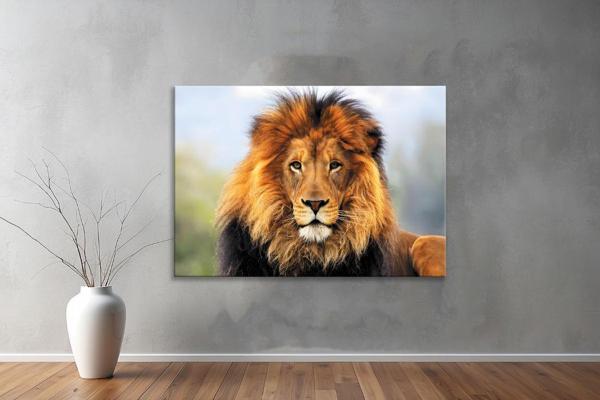 Hayvanlar ( Animal's) Kanvas Yatay Tablo180  - Image 1