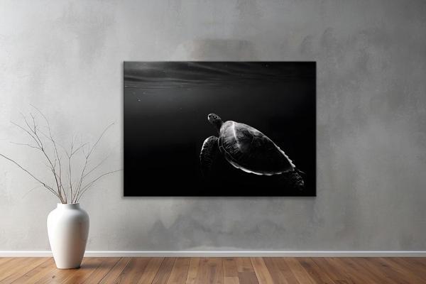 Hayvanlar ( Animal's) Kanvas Yatay Tablo204  - Image 1