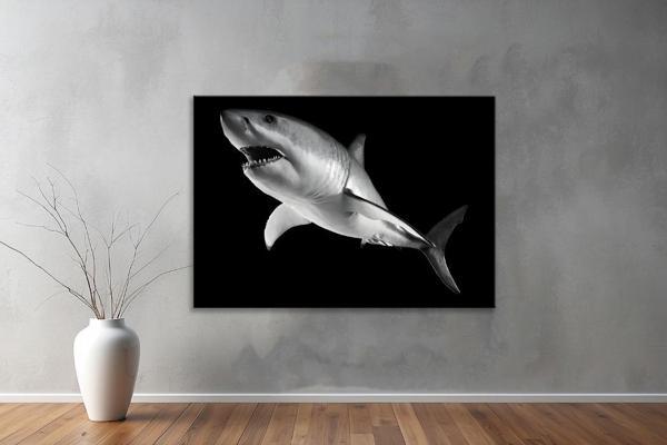 Hayvanlar ( Animal's) Kanvas Yatay Tablo22  - Image 1