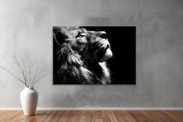 Hayvanlar ( Animal's) Kanvas Yatay Tablo243  - Image 1