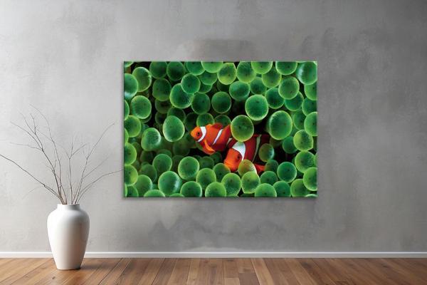 Harita ( Map's)  Yatay Tablo 74  - Image 1