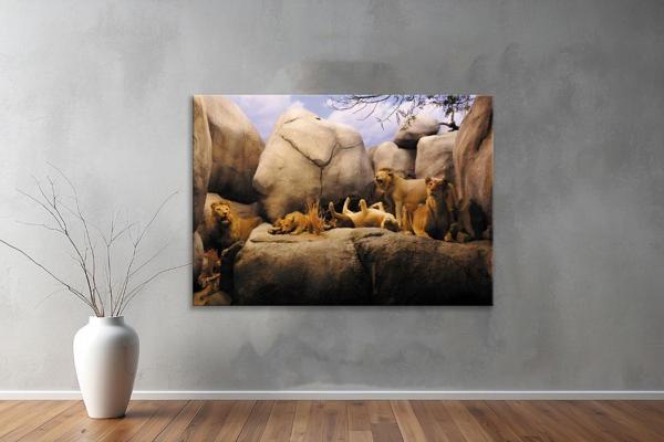 Hayvanlar ( Animal's) Kanvas Yatay Tablo256  - Image 1