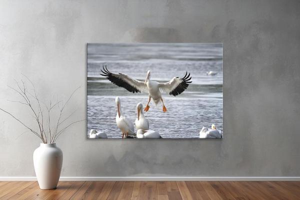 Hayvanlar ( Animal's) Kanvas Yatay Tablo259  - Image 1