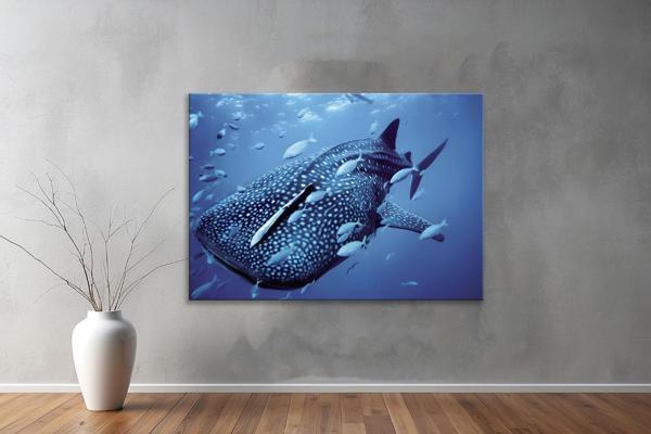 Harita ( Map's)  Yatay Tablo 96  - Image 1