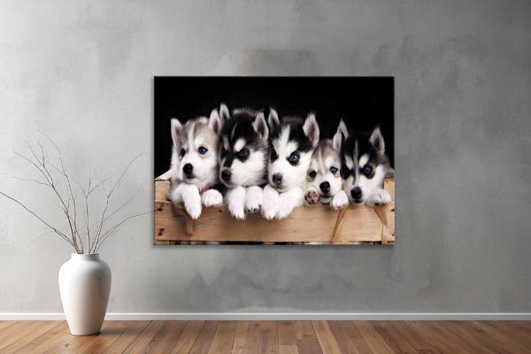 Hayvanlar ( Animal's) Kanvas Yatay Tablo298  - Image 1