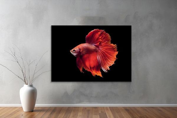 Harita ( Map's)  Yatay Tablo 107  - Image 1