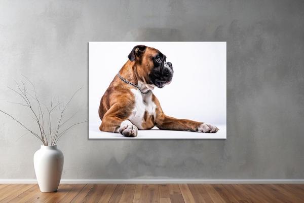 Hayvanlar ( Animal's) Kanvas Yatay Tablo536  - Image 1