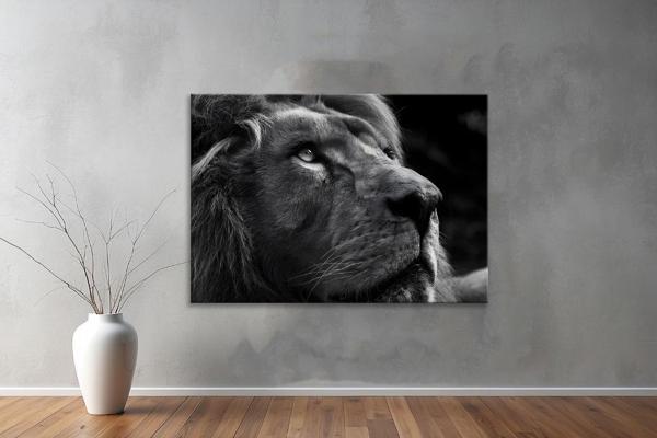 Hayvanlar ( Animal's) Kanvas Yatay Tablo392  - Image 1