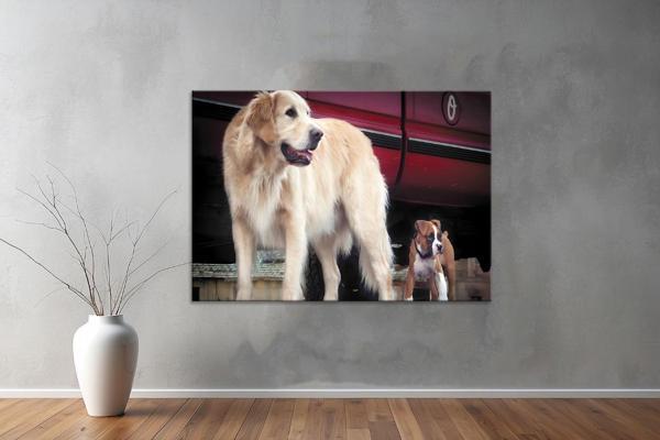 Hayvanlar ( Animal's) Kanvas Yatay Tablo409  - Image 1