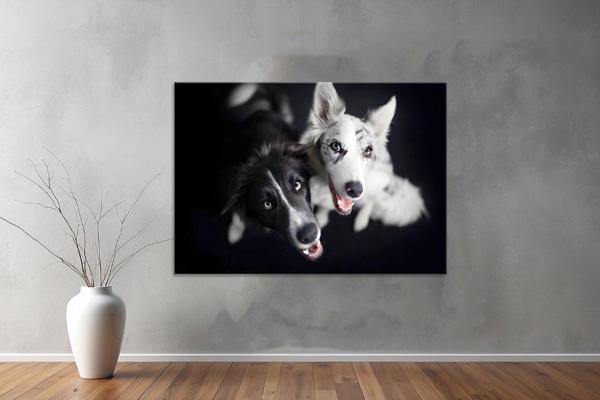 Hayvanlar ( Animal's) Kanvas Yatay Tablo411  - Image 1