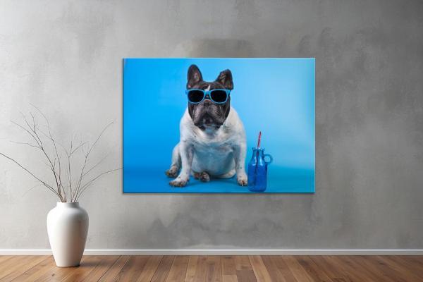 Hayvanlar ( Animal's) Kanvas Yatay Tablo512  - Image 1