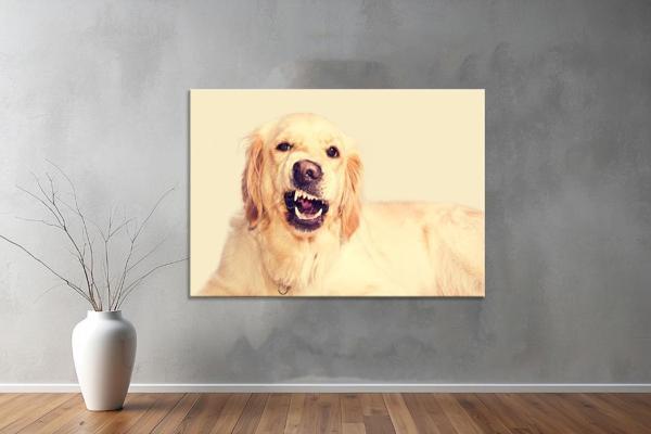 Hayvanlar ( Animal's) Kanvas Yatay Tablo513  - Image 1