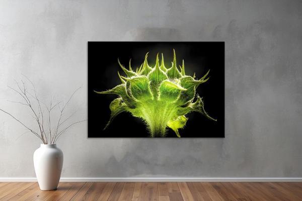 Landscape ( Manzara ) Kanvas YatayTablo  51  - Image 1