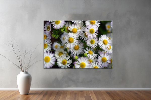 Landscape ( Manzara ) Kanvas YatayTablo  531  - Image 1