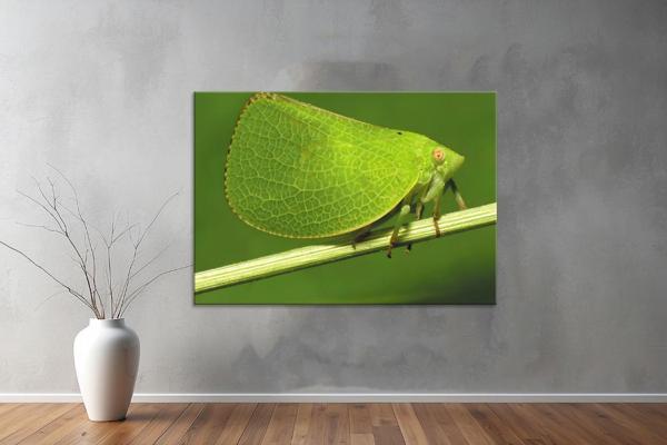 Landscape ( Manzara ) Kanvas YatayTablo  96  - Image 1