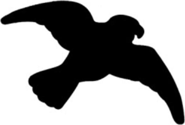 Repel Kuş Gölgesi Sticker (3'Lü Paket) - Image 1