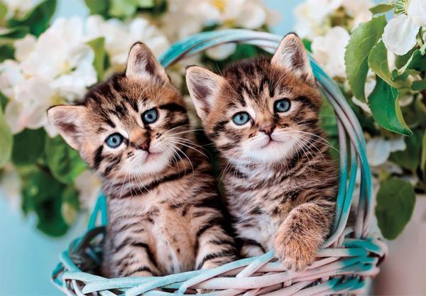 Clementoni Lovely Kitty Twins Puzzle 60 Parça 26599 - Image 1